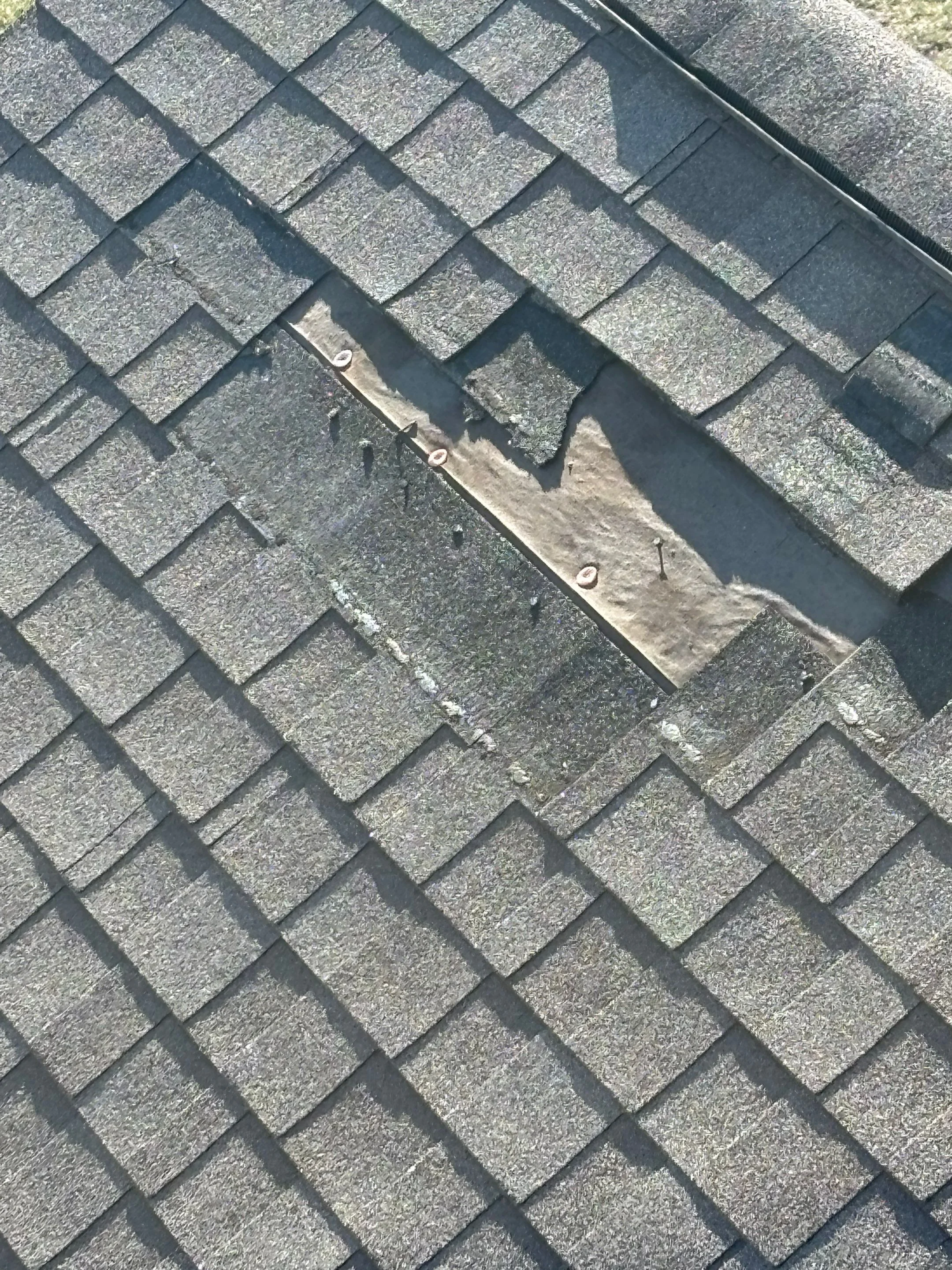 Same Day Water Damage Service in Shadeland: Fast Drying